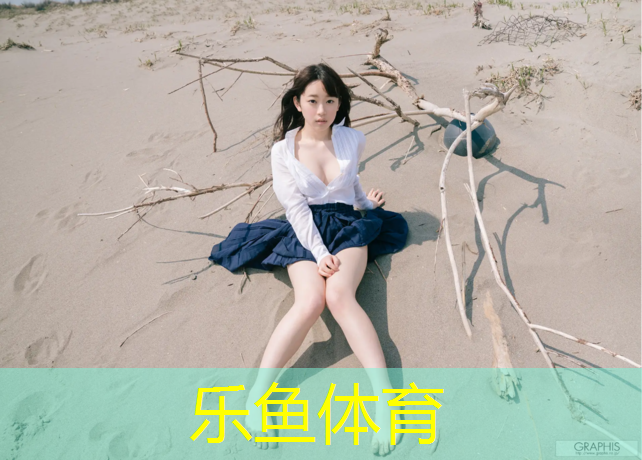<strong>乐鱼体育,塑胶跑道太阳全反射</strong>