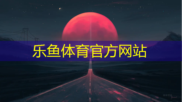 leyu·乐鱼(中国)体育官方网站,体操运动员的球