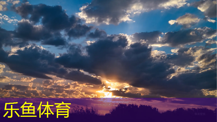 乐鱼体育,新乐塑胶跑道