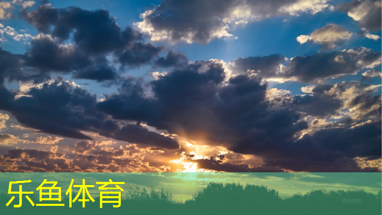 乐鱼体育,北辰公园塑胶跑道价格