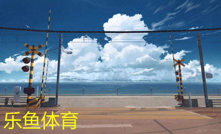 乐鱼体育,绵阳户外塑胶跑道铺设