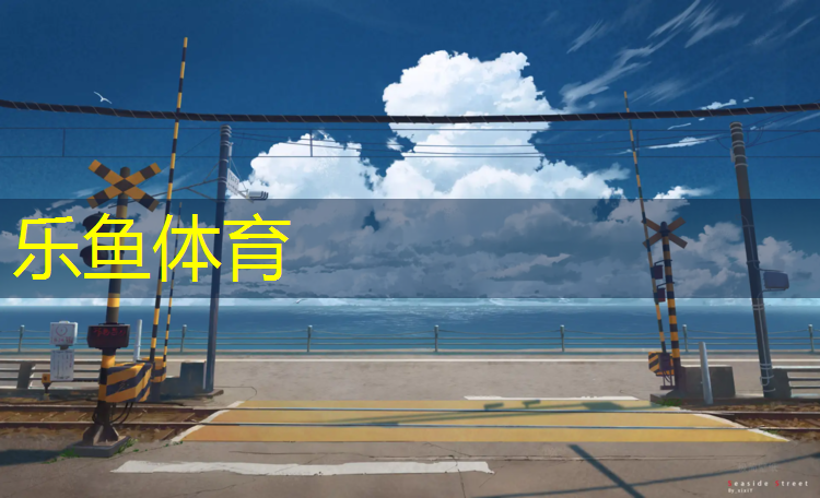 <strong>乐鱼体育,聚氨酯塑胶跑道球场重建</strong>