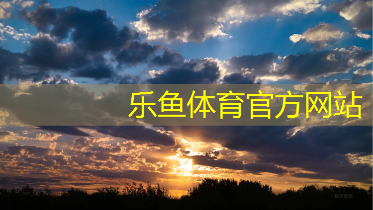 乐鱼体育官方网站,男子体操跳马落垫扣多少分