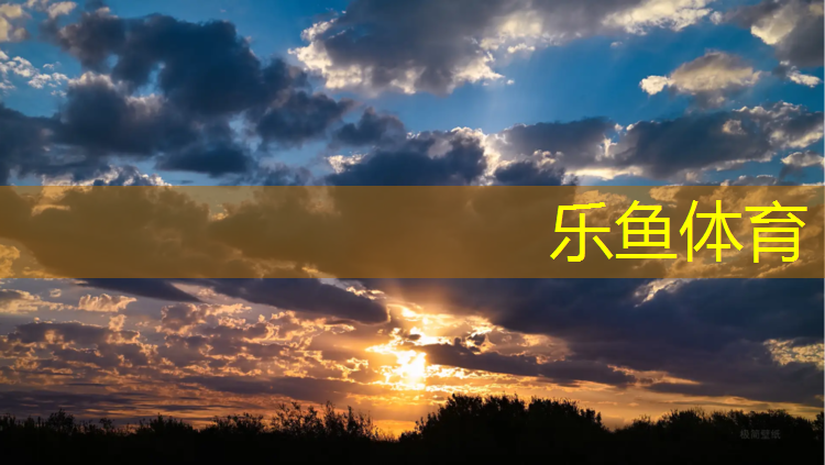 <strong>乐鱼体育,塑胶跑道常见尺寸图例图</strong>