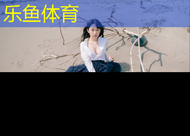 南京网球网铺设